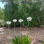 Quinta Dos Lagares 度假居 Espadanal