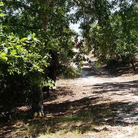 Quinta Dos Lagares Holiday home