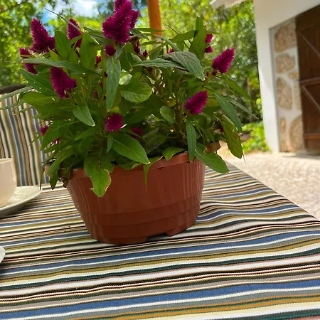 Holiday home Quinta Dos Lagares
