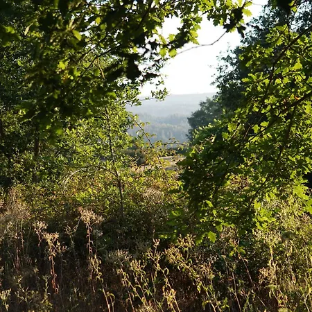 Quinta Dos Lagares Espadanal